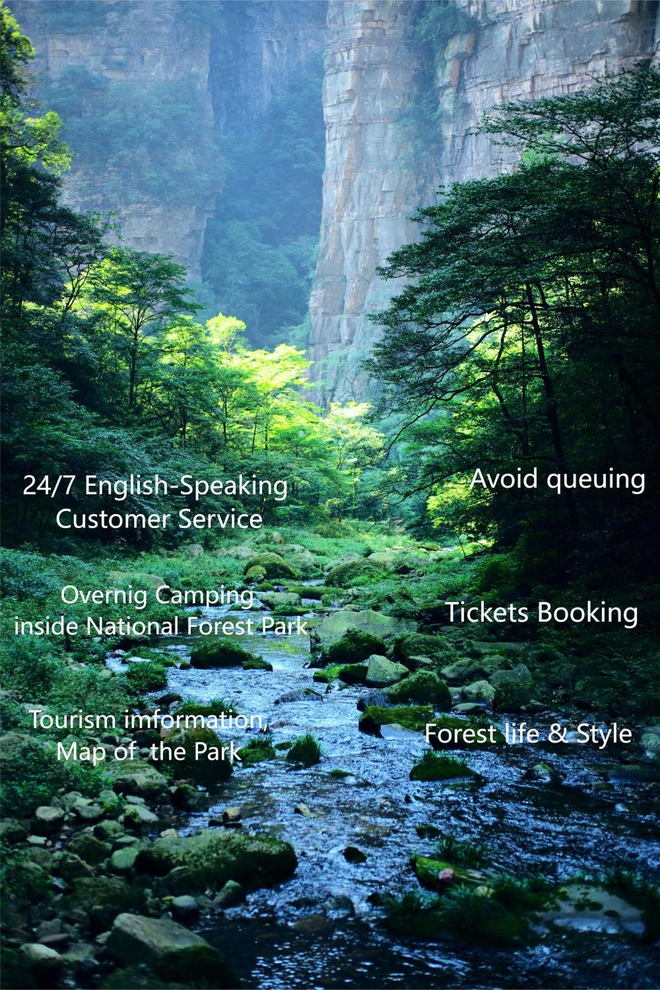 Zhangjiajie National Forest Park Camping Экстерьер фото