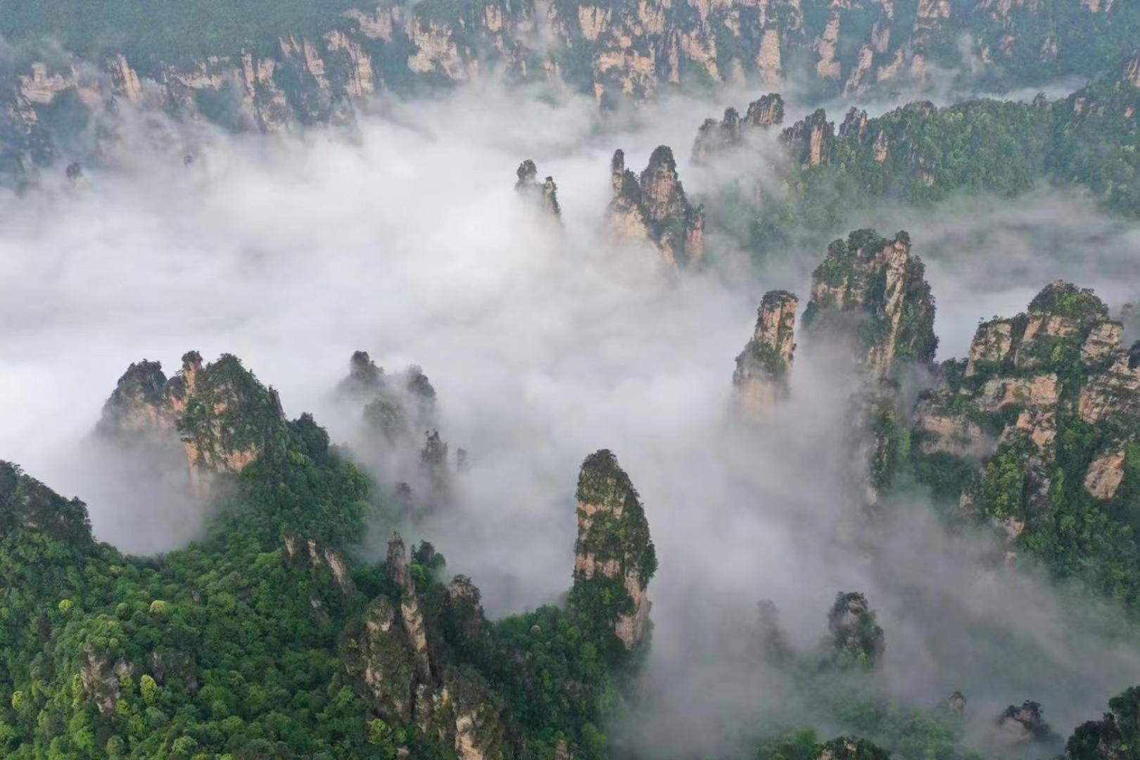 Zhangjiajie National Forest Park Camping Экстерьер фото