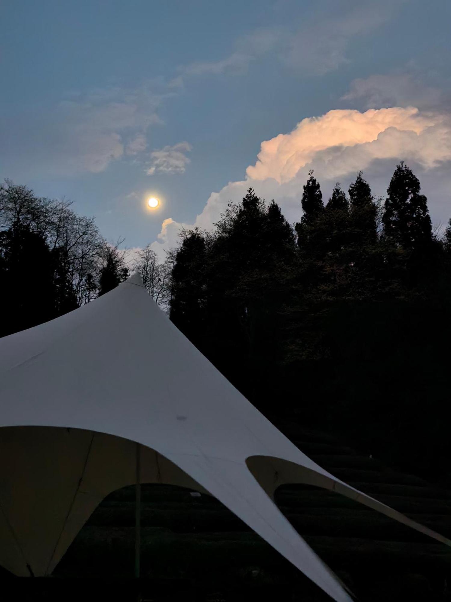 Zhangjiajie National Forest Park Camping Экстерьер фото